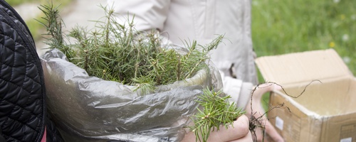 Экологическая акция в МАОУ СОШ № 4