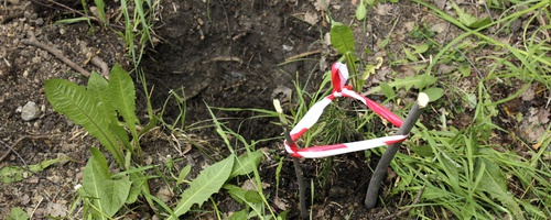 Экологическая акция в МАОУ СОШ № 4